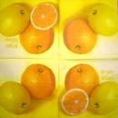 196 Lemons, Oranges - 3-ply